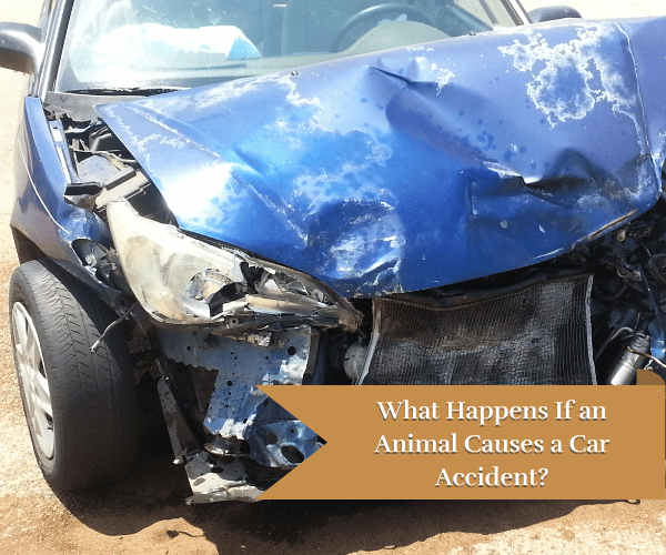 car accident with front of a car damaged