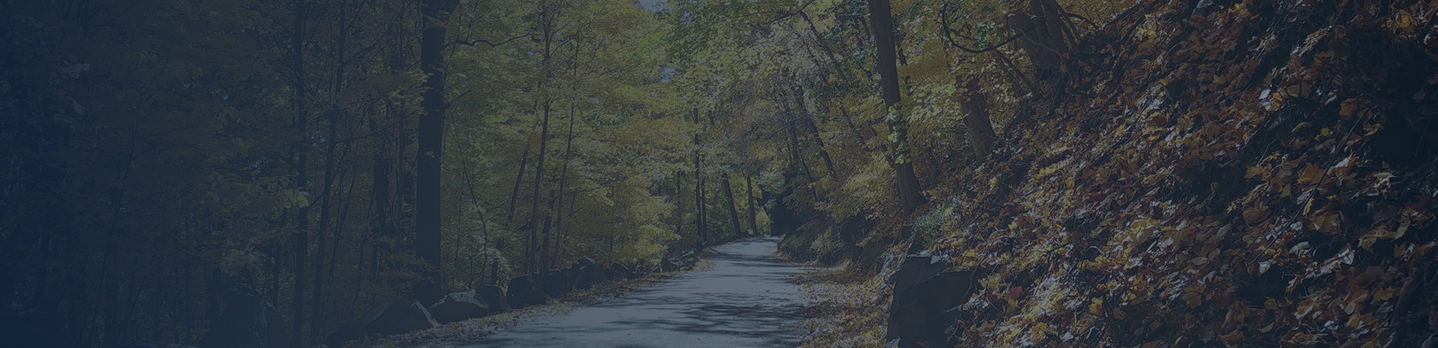 Alpine, New Jersey Car Accident Lawyer