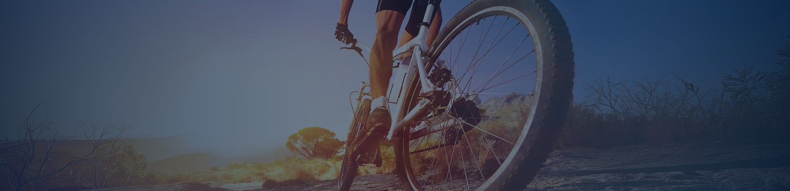Bicycle Accident Lawyer in New Jersey